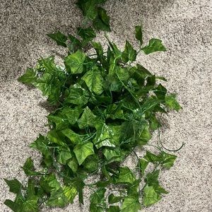 5 Vine Strands Never Used